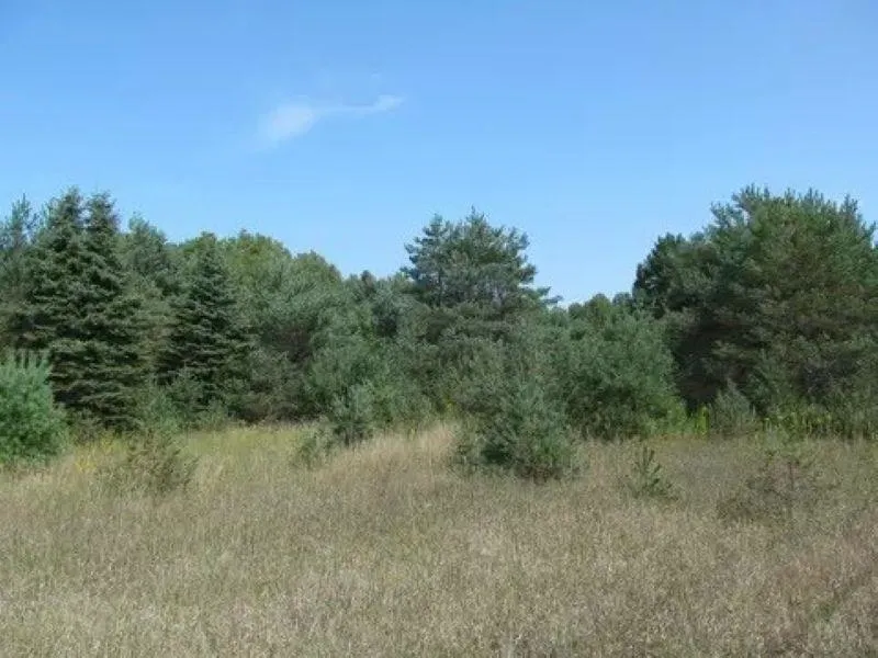 M-55 Haring Charter Township, MI 49601