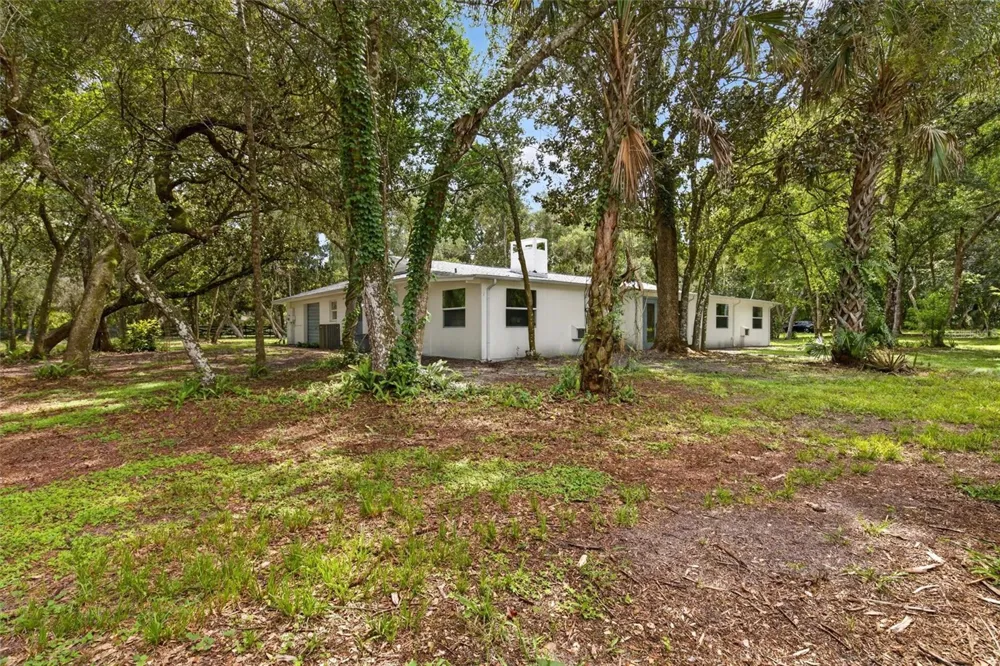 300 SCOTT ROAD Geneva, FL 32732