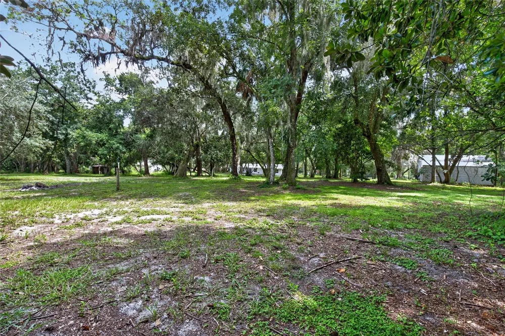 300 SCOTT ROAD Geneva, FL 32732