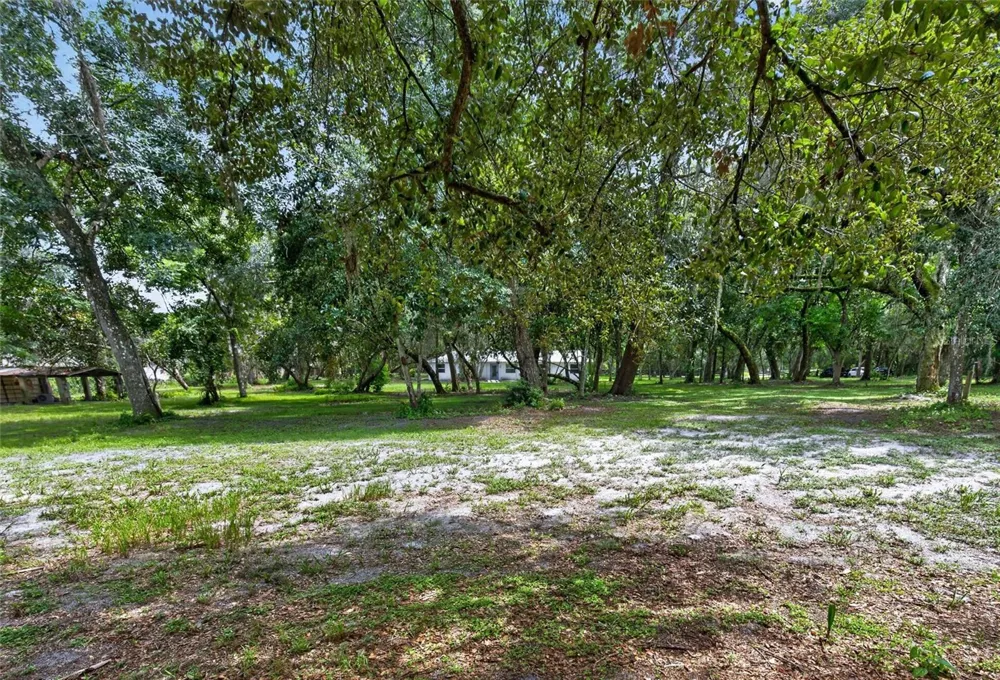 300 SCOTT ROAD Geneva, FL 32732