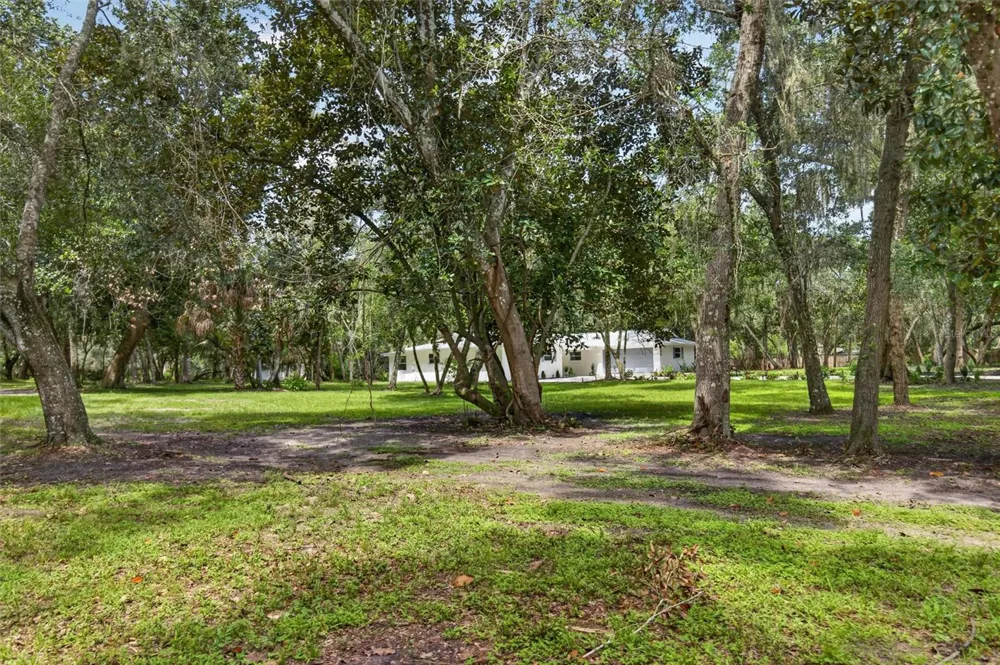300 SCOTT ROAD Geneva, FL 32732