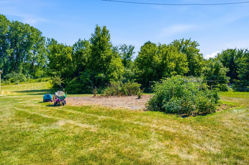 18275 Garvey Road Chelsea, MI 48118