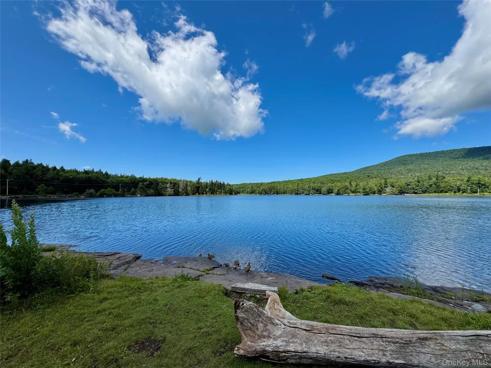 398 Lake Road Hunter, NY 12442
