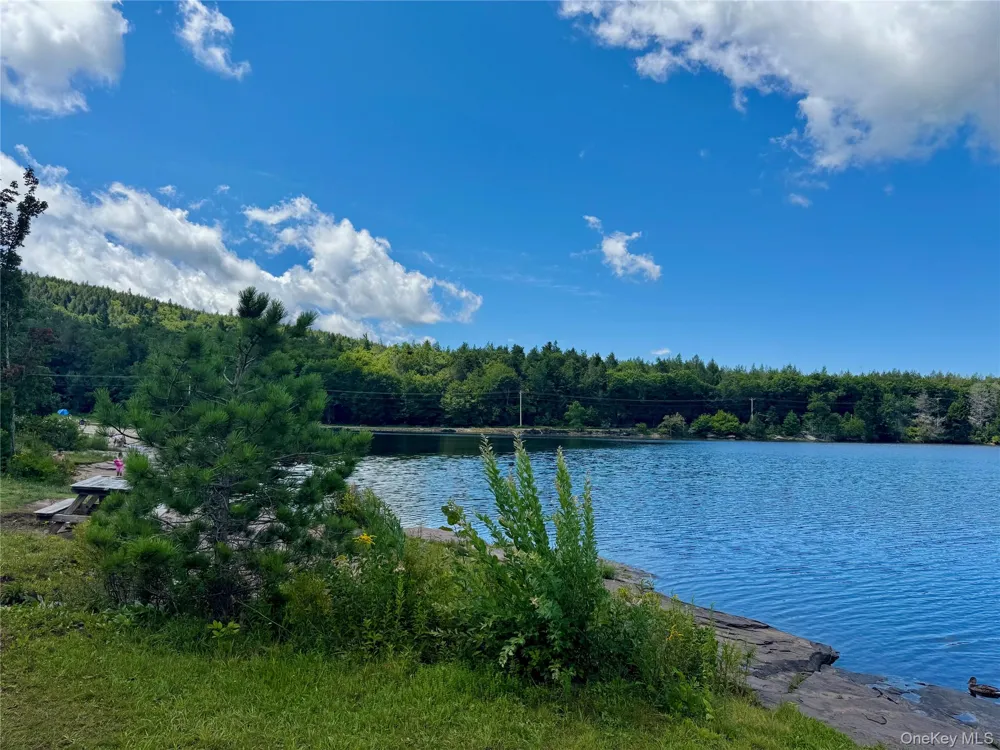 398 Lake Road Hunter, NY 12442