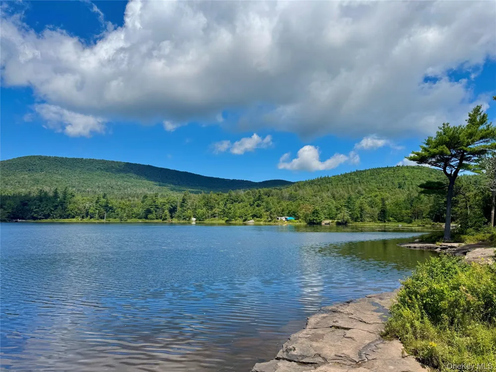 398 Lake Road Hunter, NY 12442