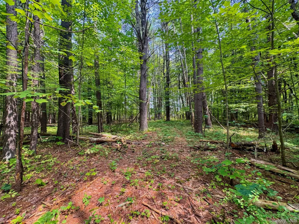 4480 State Route 23 Cairo, NY 12413