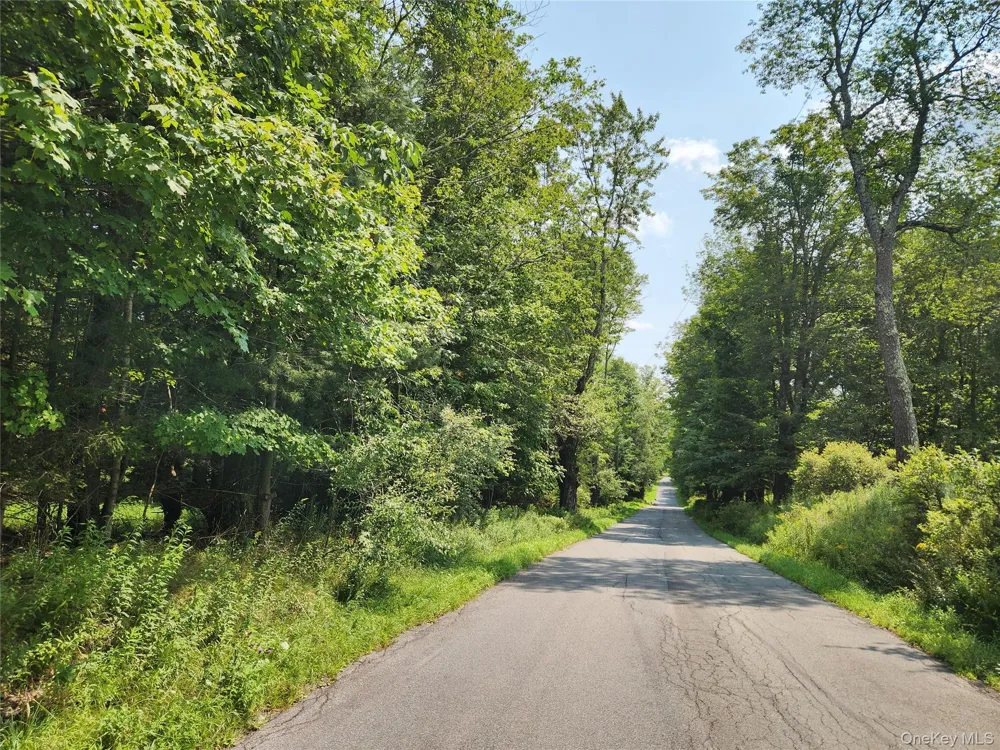 Soule Road Bethel, NY 12720