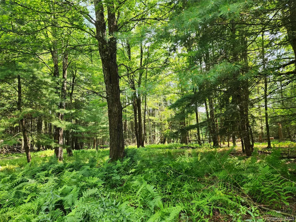 Soule Road Bethel, NY 12720