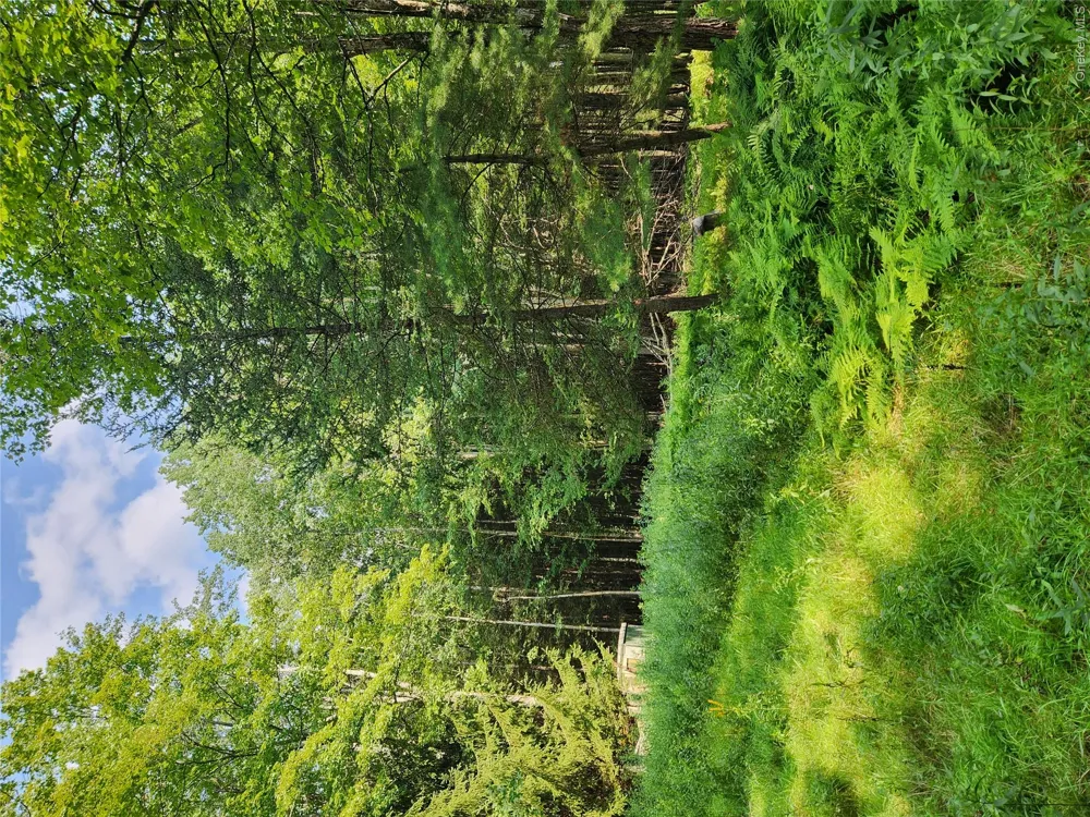 Soule Road Bethel, NY 12720