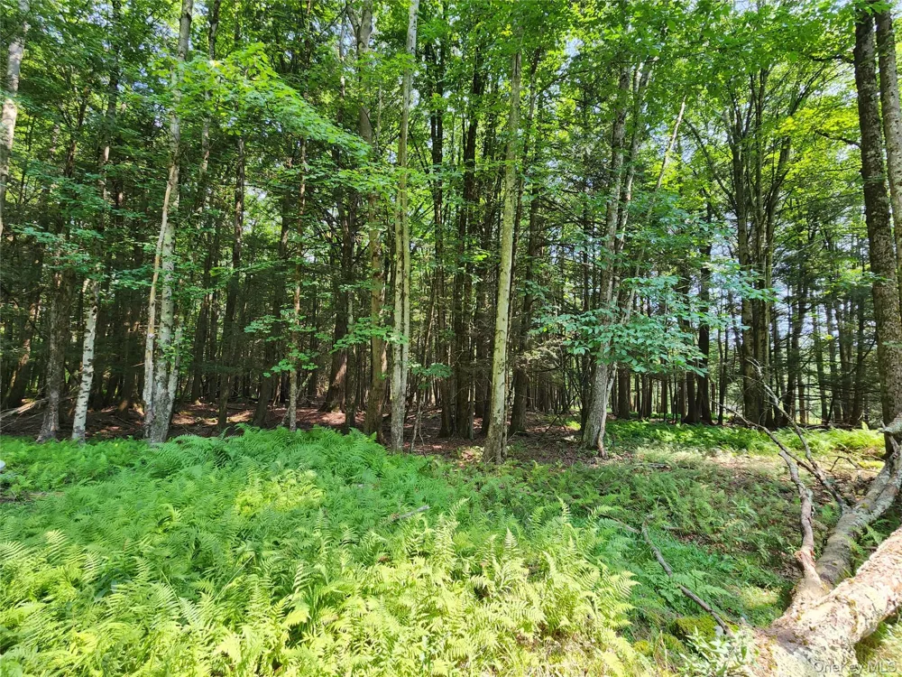Soule Road Bethel, NY 12720