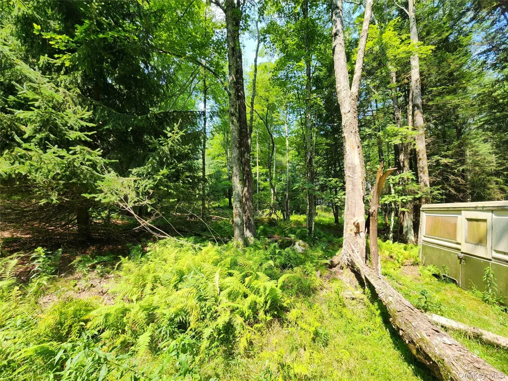 Soule Road Bethel, NY 12720