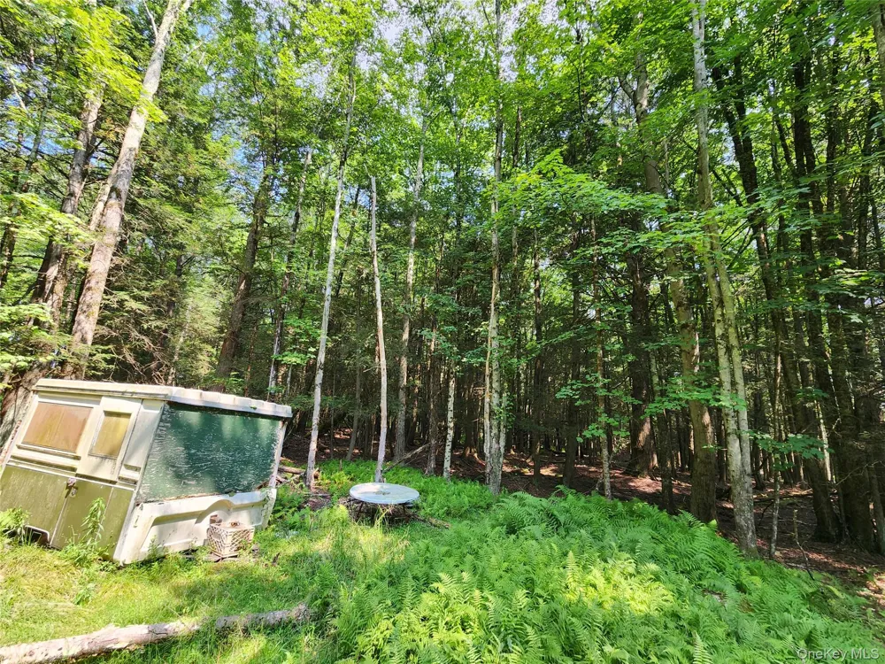 Soule Road Bethel, NY 12720