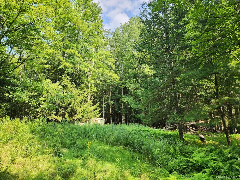 Soule Road Bethel, NY 12720