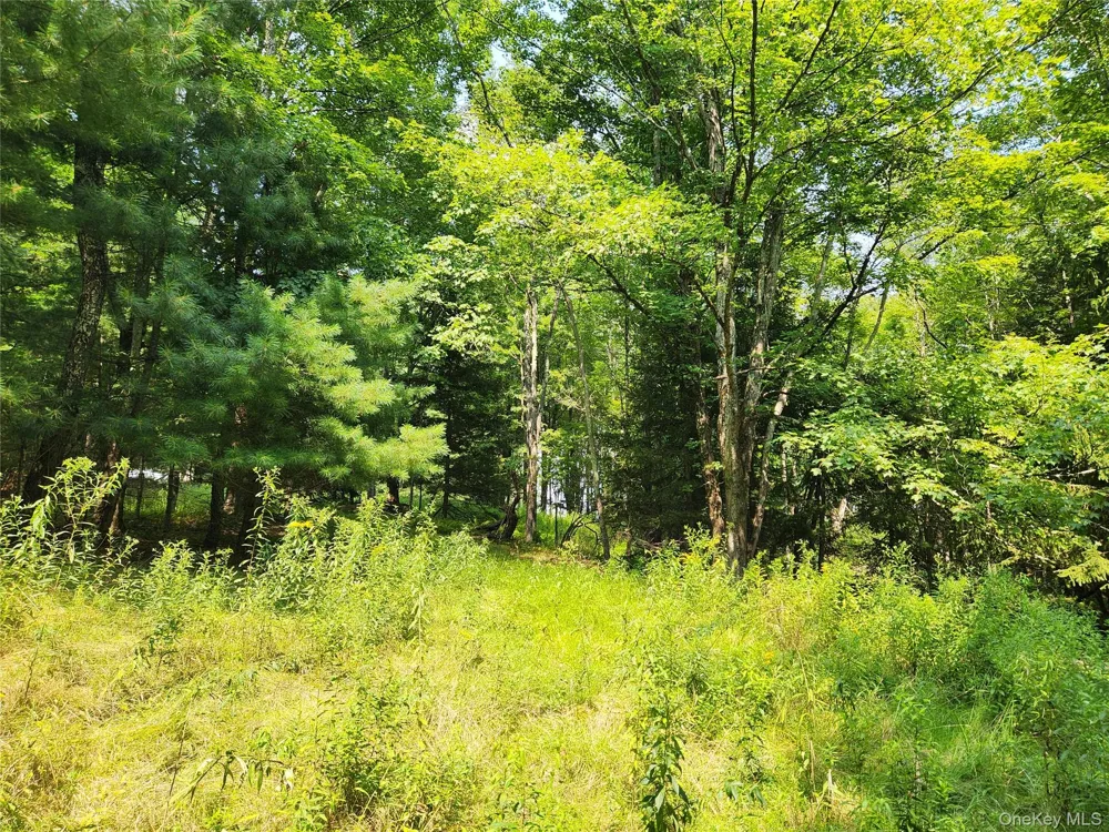 Soule Road Bethel, NY 12720