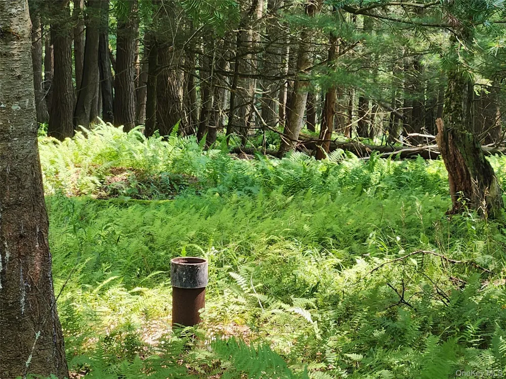 Soule Road Bethel, NY 12720