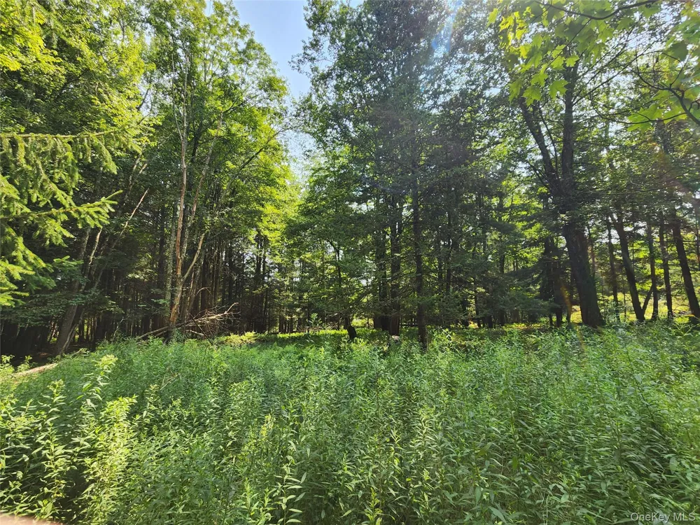 Soule Road Bethel, NY 12720