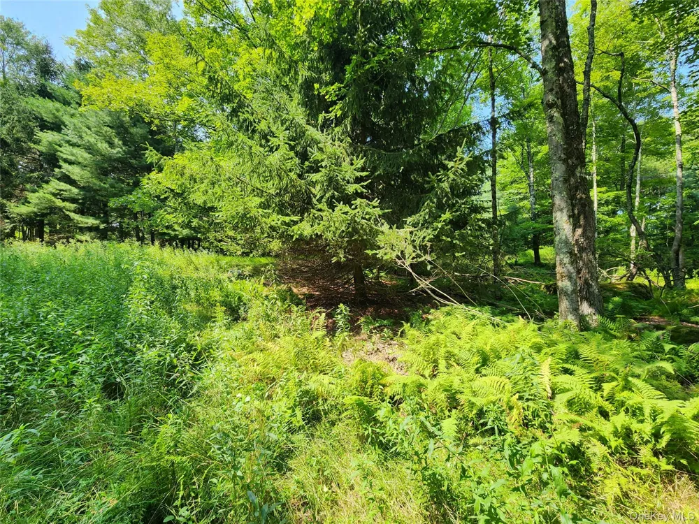 Soule Road Bethel, NY 12720
