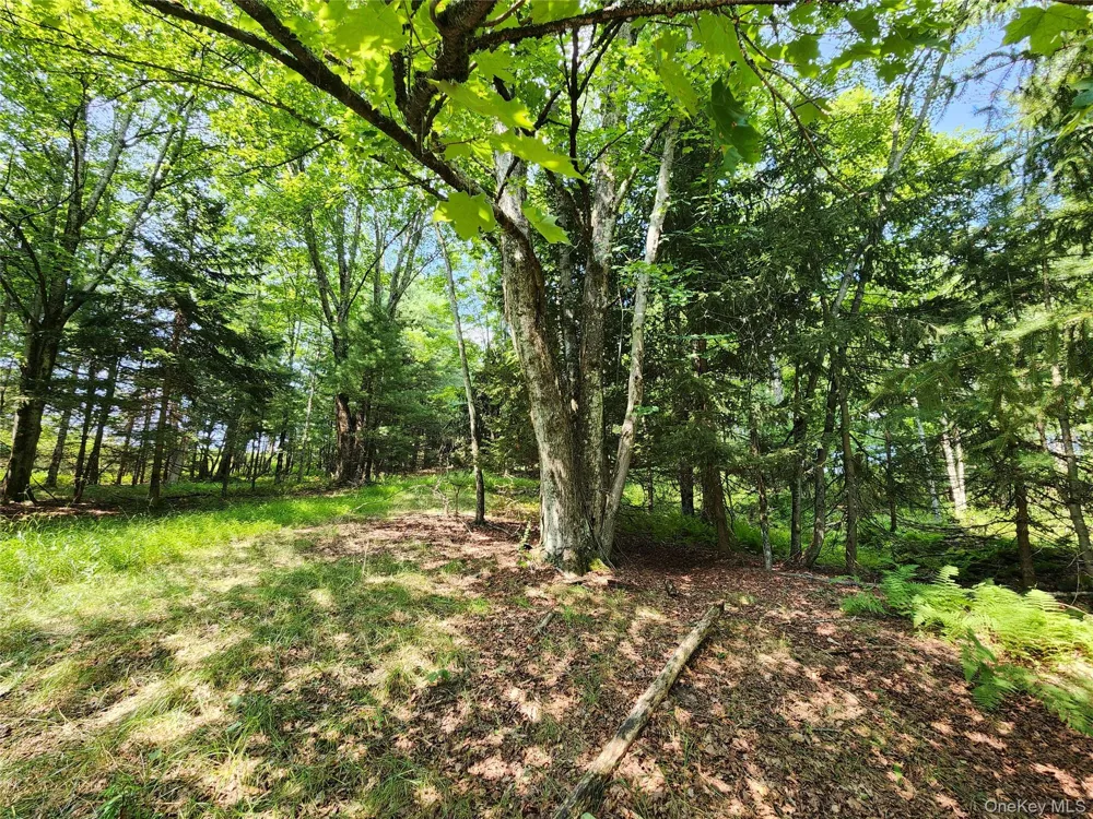 Soule Road Bethel, NY 12720