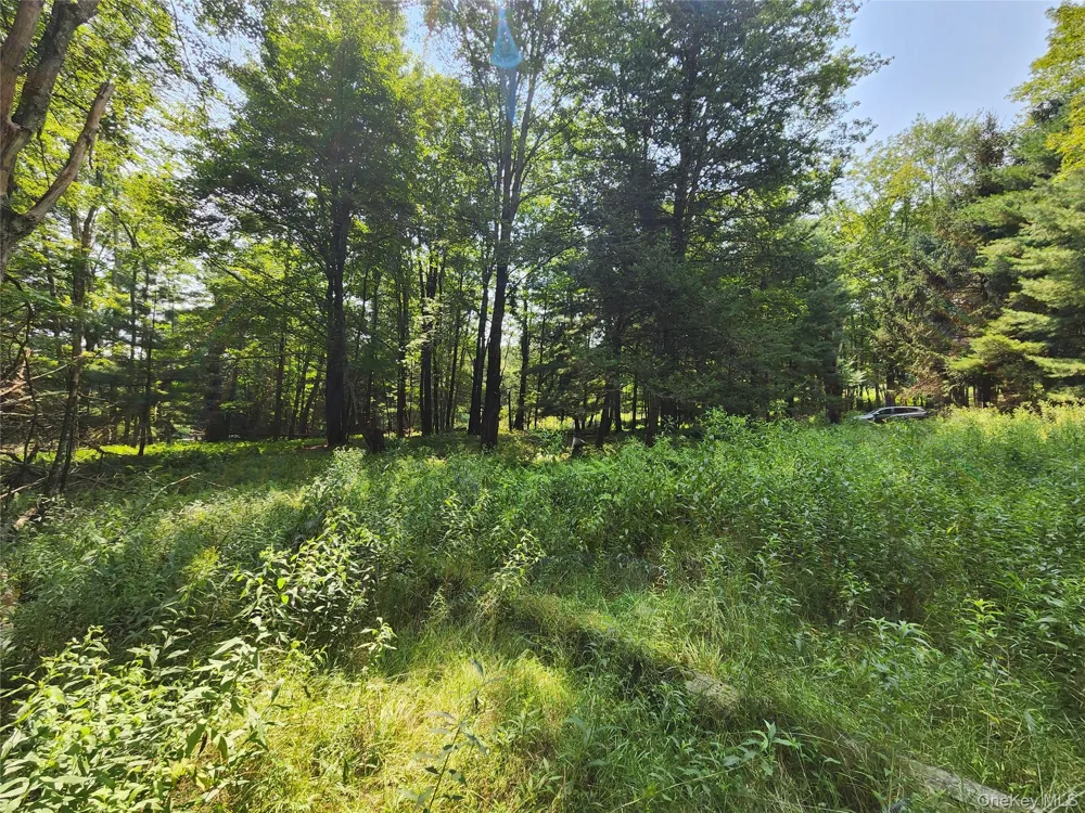Soule Road Bethel, NY 12720