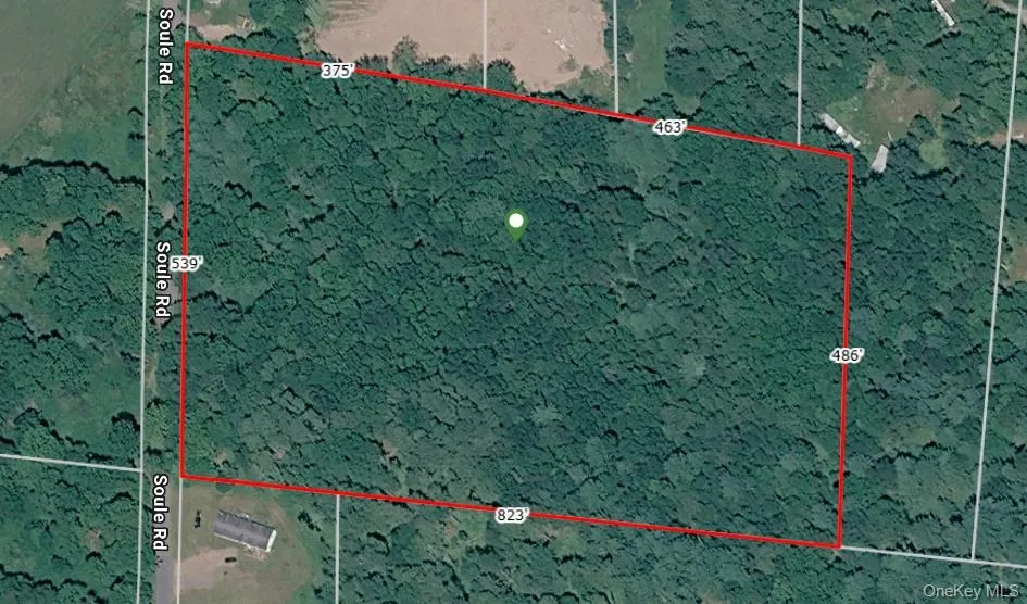 Soule Road Bethel, NY 12720