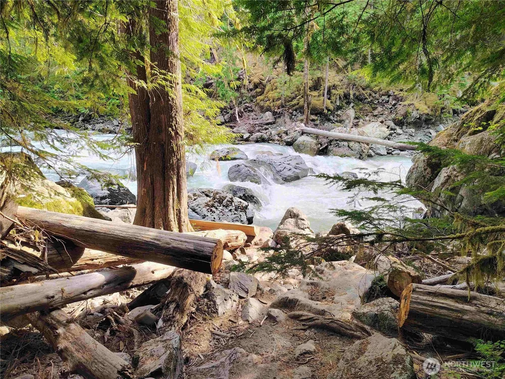 10433 Mt. Baker Highway #1017A Glacier, WA 98244