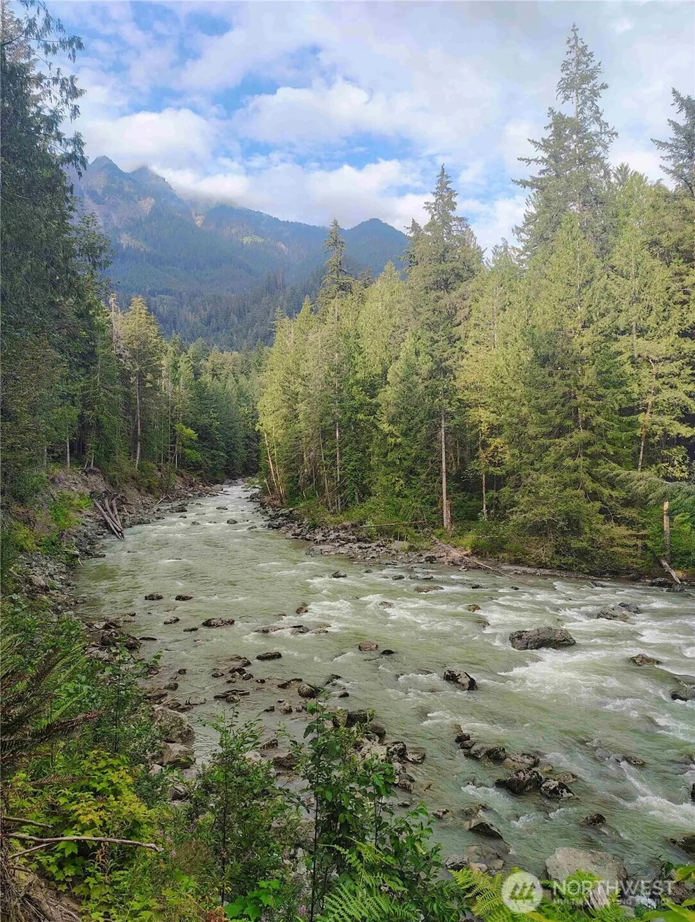 10433 Mt. Baker Highway #1017A Glacier, WA 98244