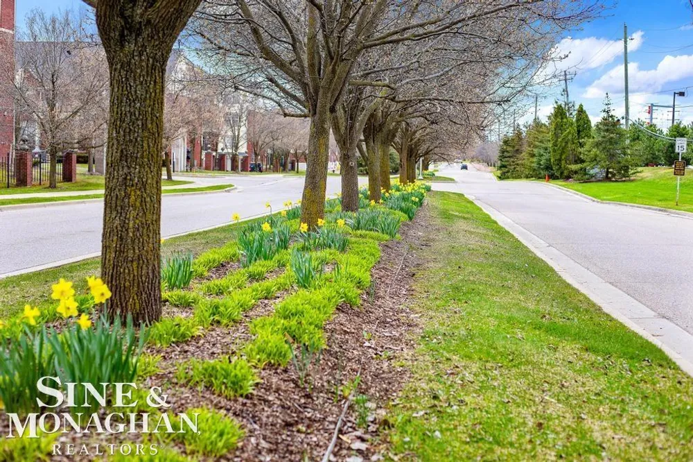 3251 Camden Drive Troy City, MI 48084