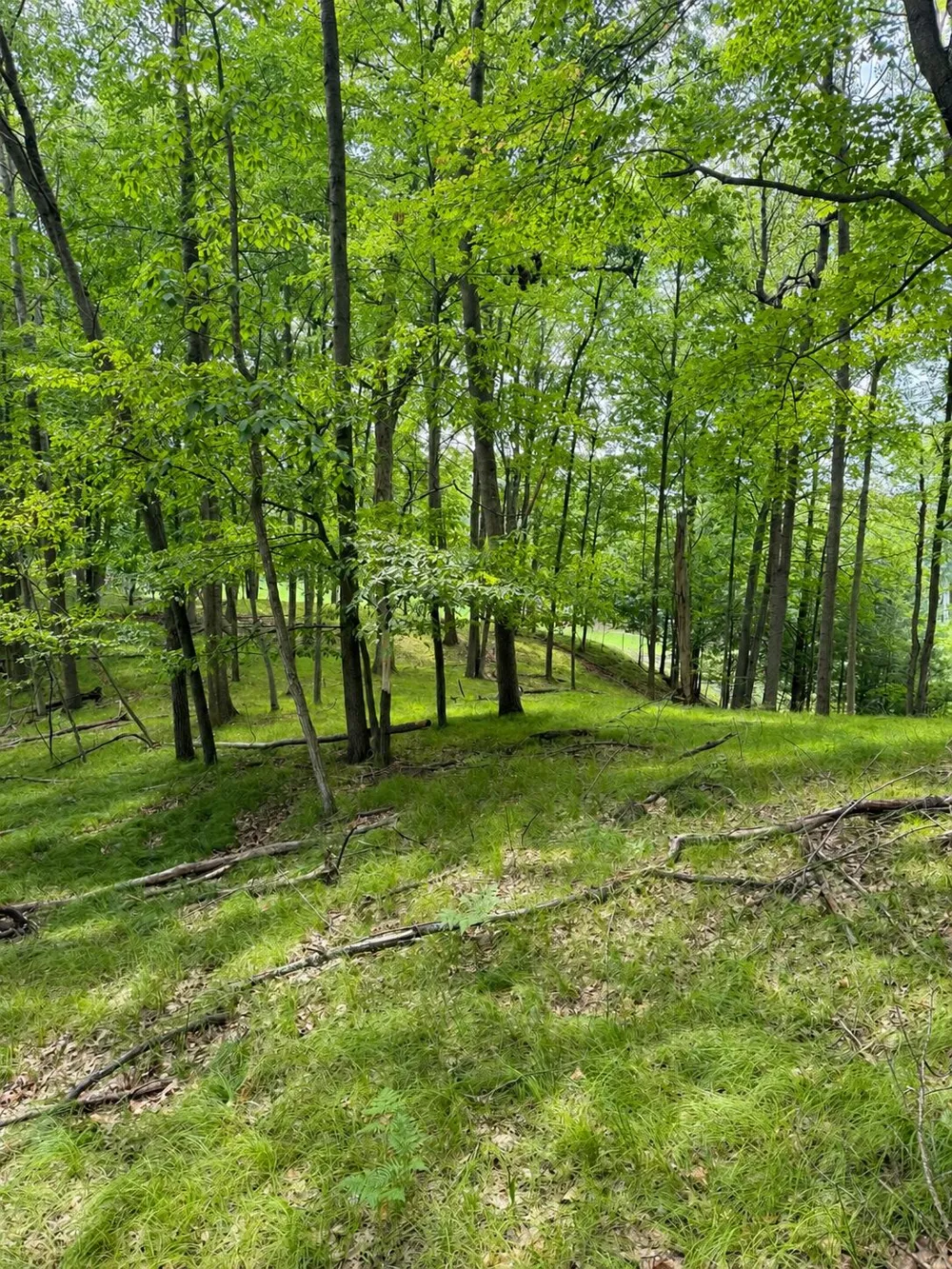 9711 Saint Ives Drive Canadian Lakes, MI 49346