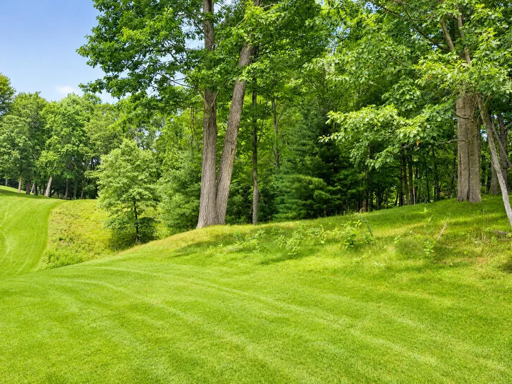 9711 Saint Ives Drive Canadian Lakes, MI 49346