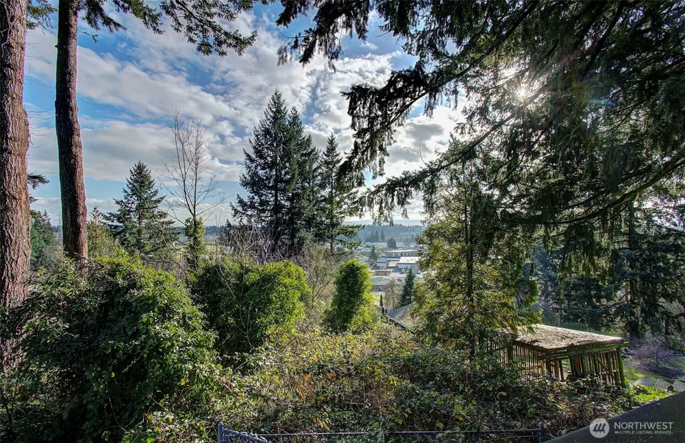 1101 NE 64th Street Vancouver, WA 98665