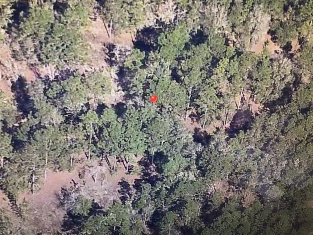 0 SW 19 PLACE ocala, FL 34481