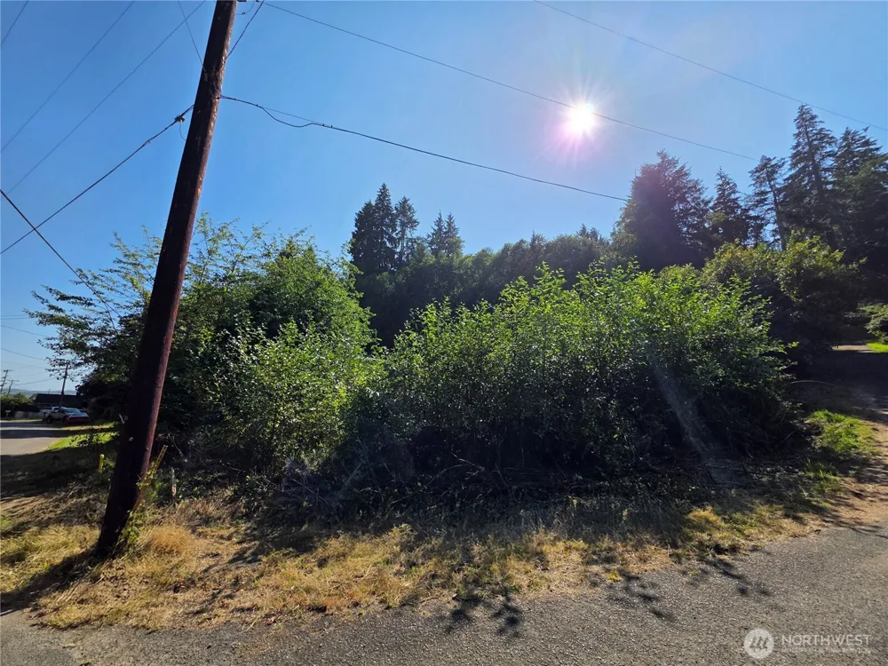 929 Duffy St Aberdeen, WA 98520