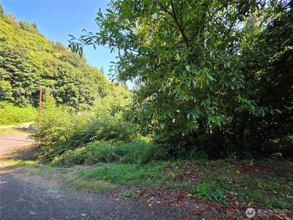 929 Duffy St Aberdeen, WA 98520