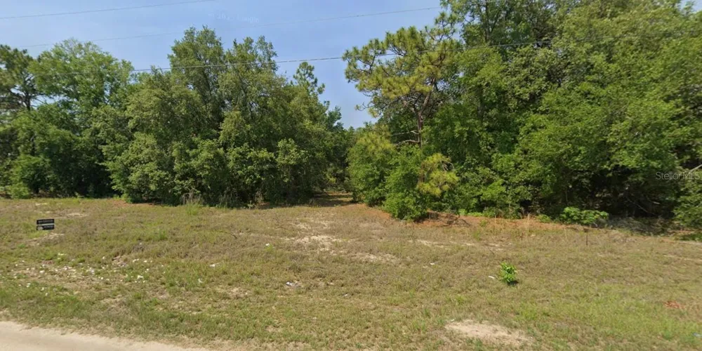 TBD MALAUKA RUN COURT Ocklawaha, FL 32179