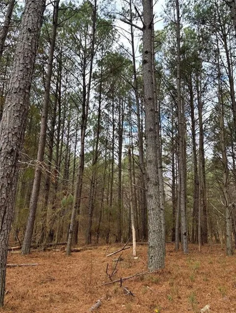 556 Benton Road