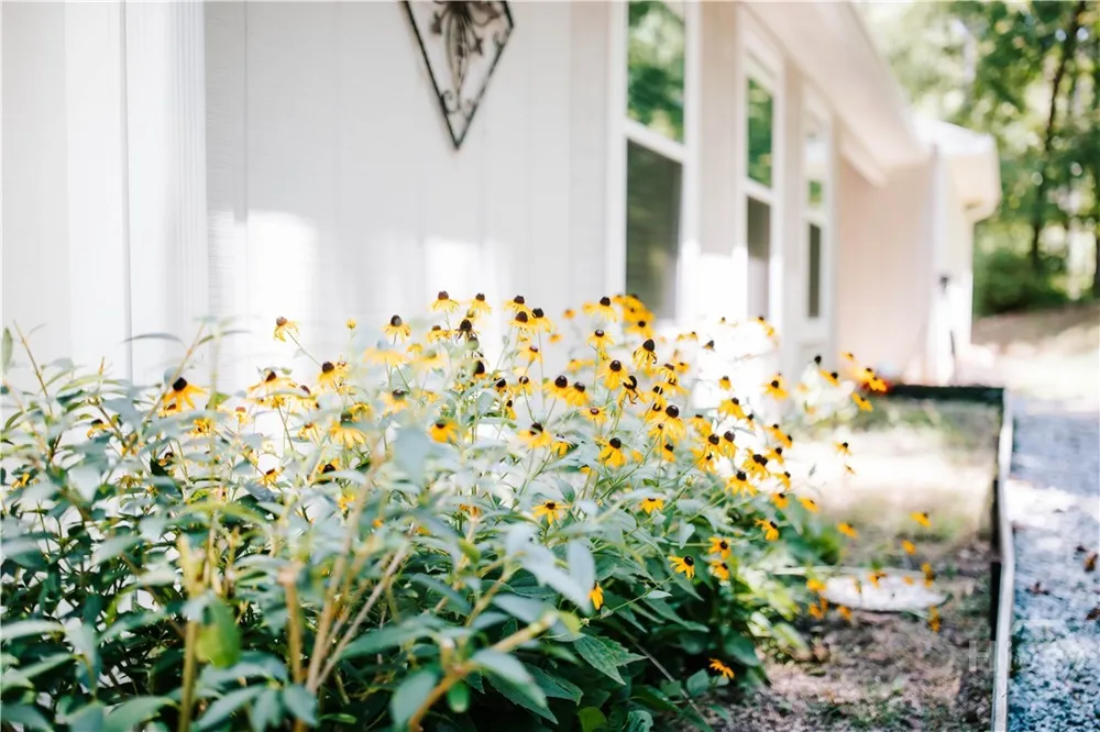 72 Terry Dee Lane Colbert, GA 30628