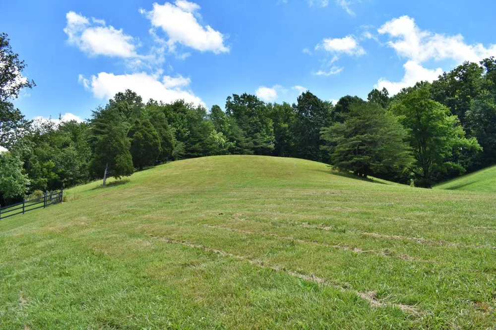 1319 Ideal Valley Road Spring City, TN 37381