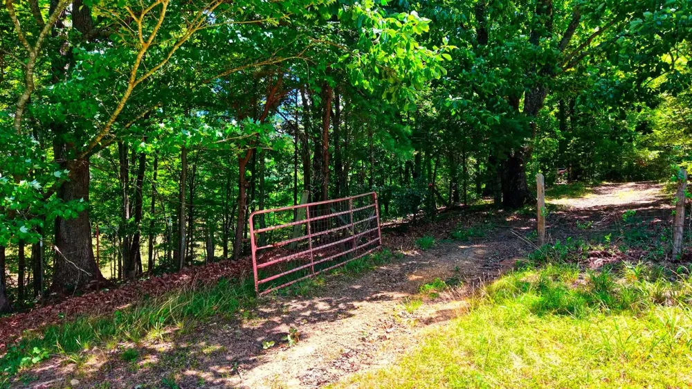 1319 Ideal Valley Road Spring City, TN 37381