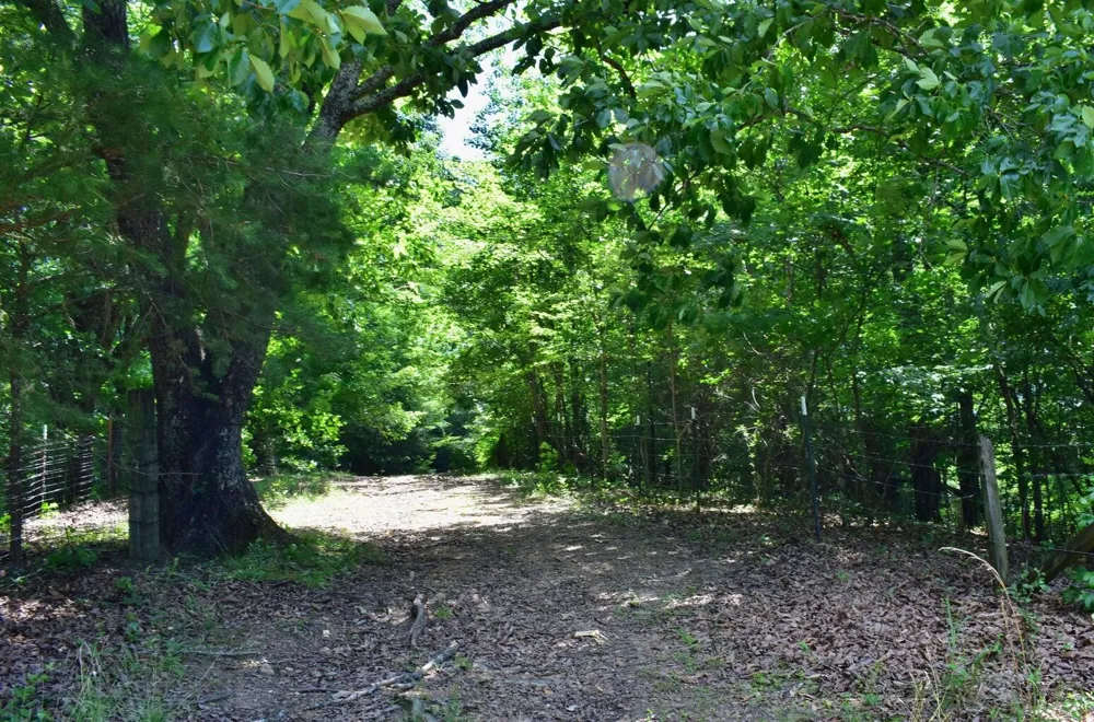 1319 Ideal Valley Road Spring City, TN 37381