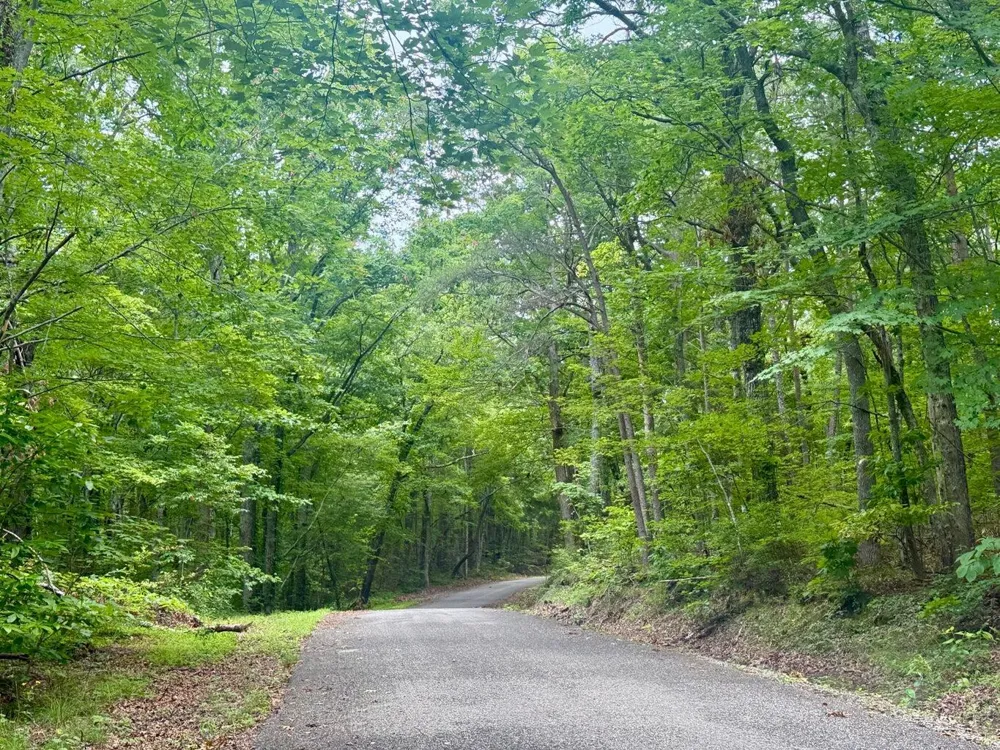 4104 Windridge Drive Dunlap, TN 37327