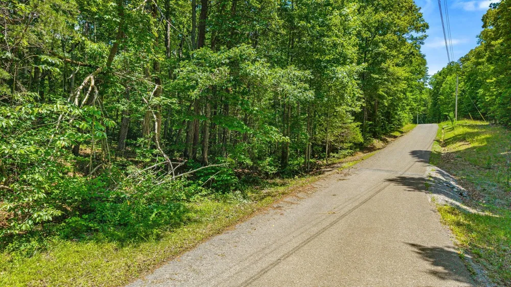 4104 Windridge Drive Dunlap, TN 37327
