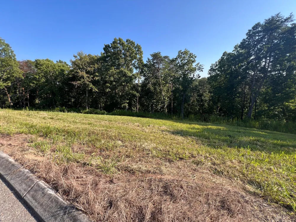 29 Watauga Lane Birchwood, TN 37308