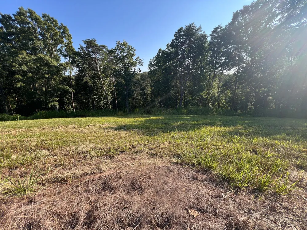 29 Watauga Lane Birchwood, TN 37308