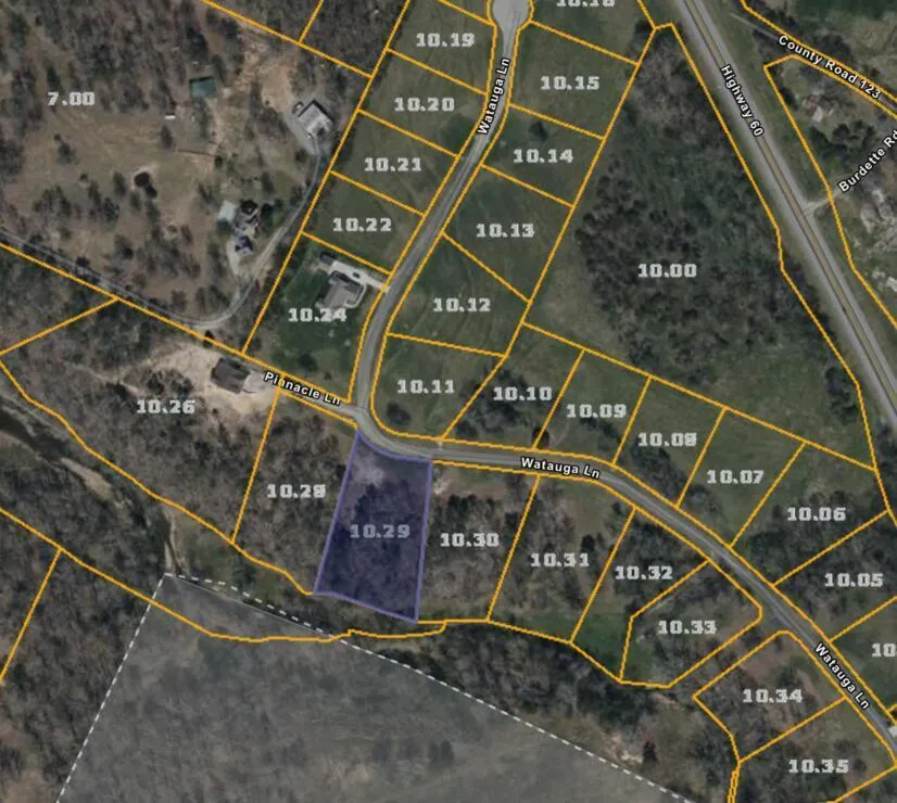 29 Watauga Lane Birchwood, TN 37308