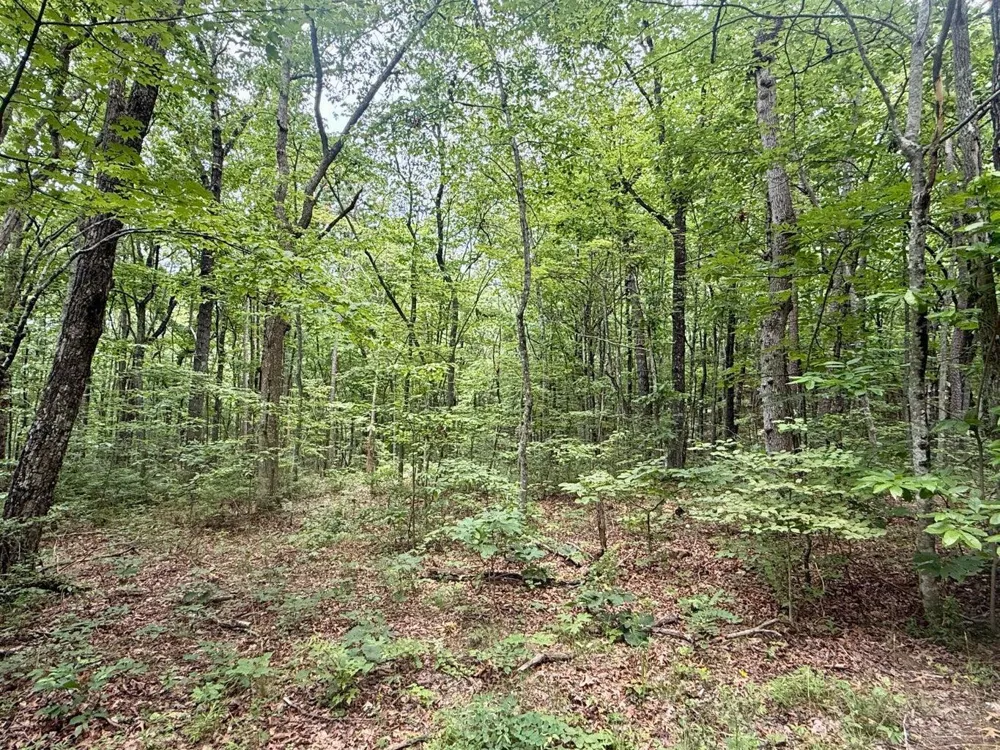5973 Windridge Drive Dunlap, TN 37327