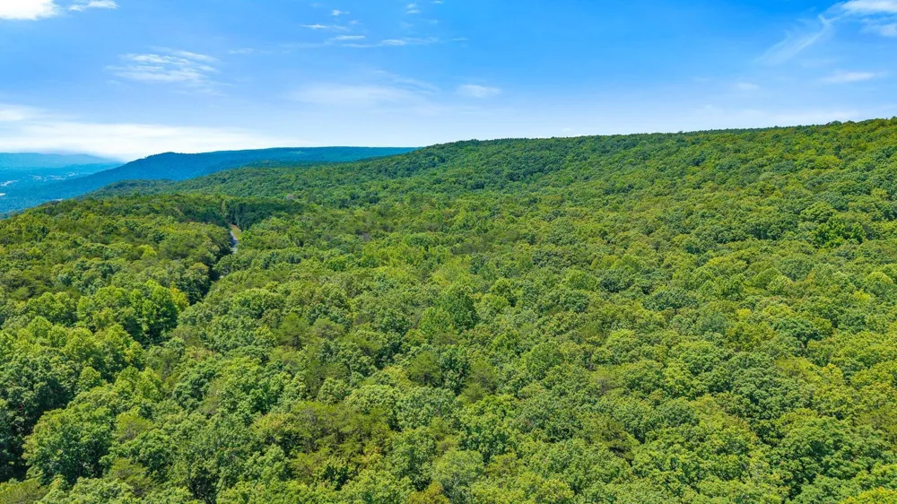 5973 Windridge Drive Dunlap, TN 37327