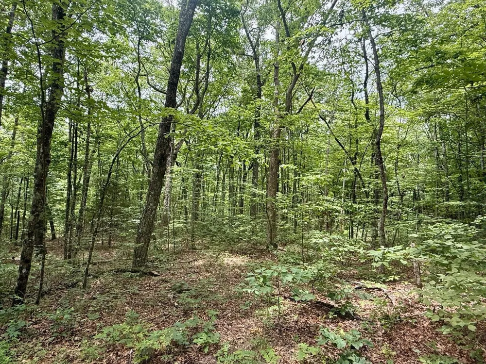 5973 Windridge Drive Dunlap, TN 37327