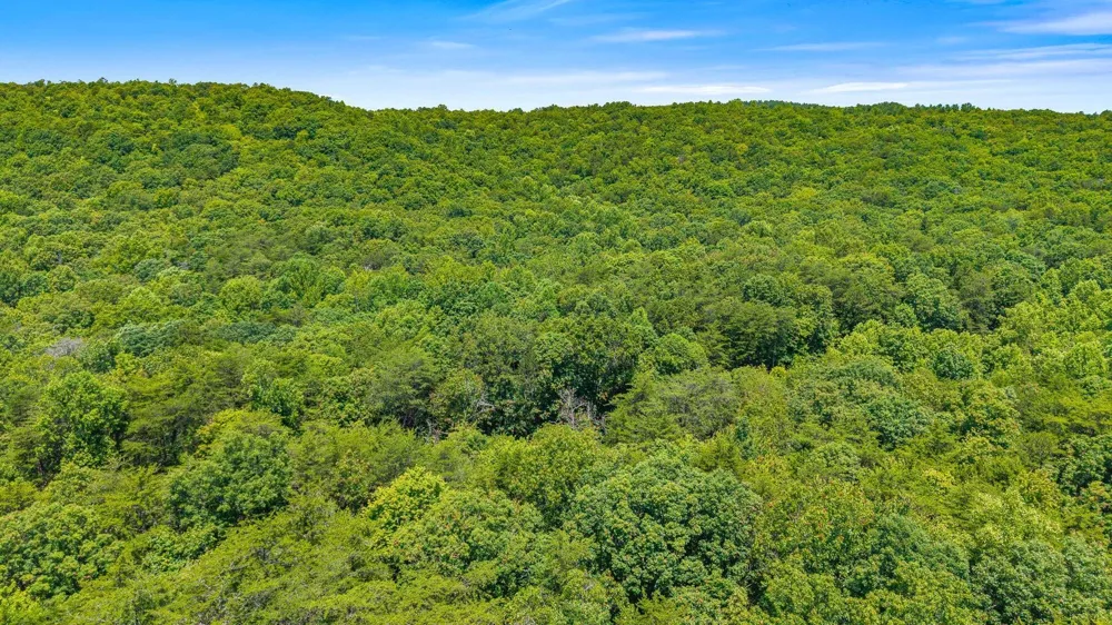 5973 Windridge Drive Dunlap, TN 37327