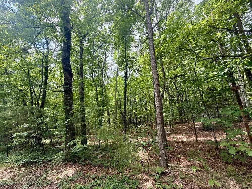 5973 Windridge Drive Dunlap, TN 37327