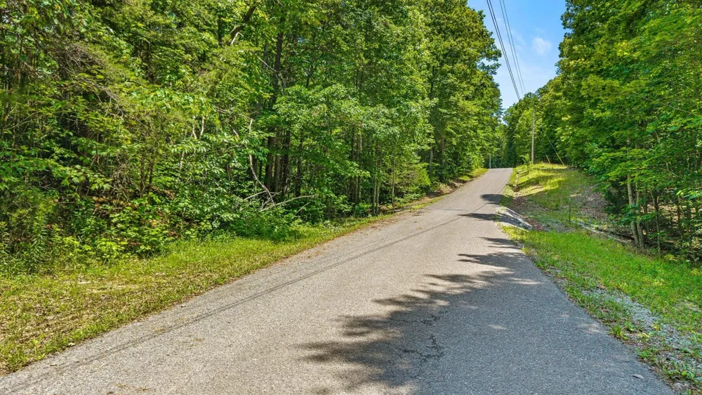 5973 Windridge Drive Dunlap, TN 37327